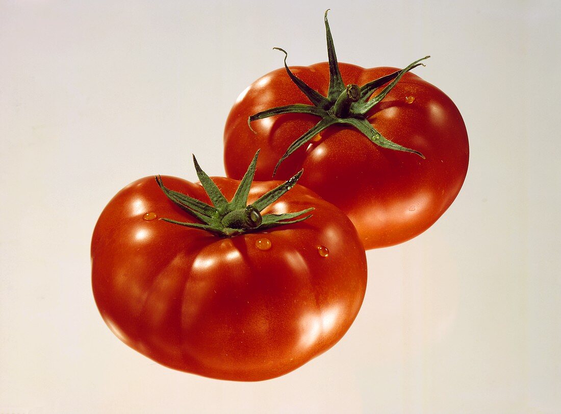 Two Tomatoes with Stems; Dew Drops