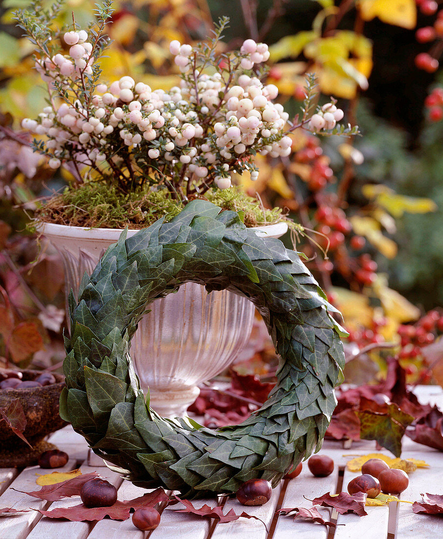 Wreath of ivy leaves on straw base