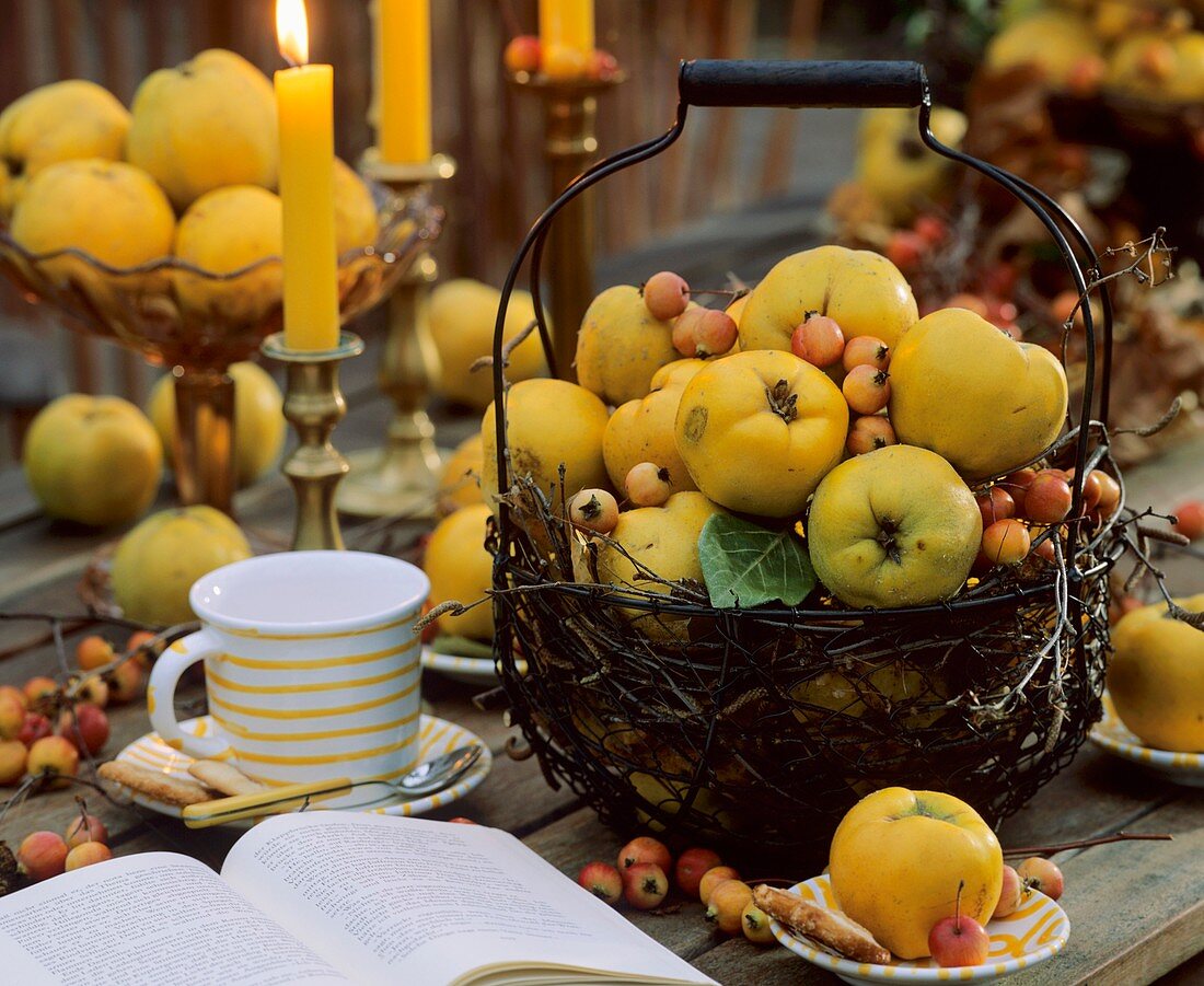 Basket of quinces and ornamental apples