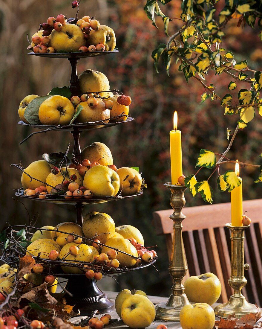 Tiered stand with quinces and ornamental apples