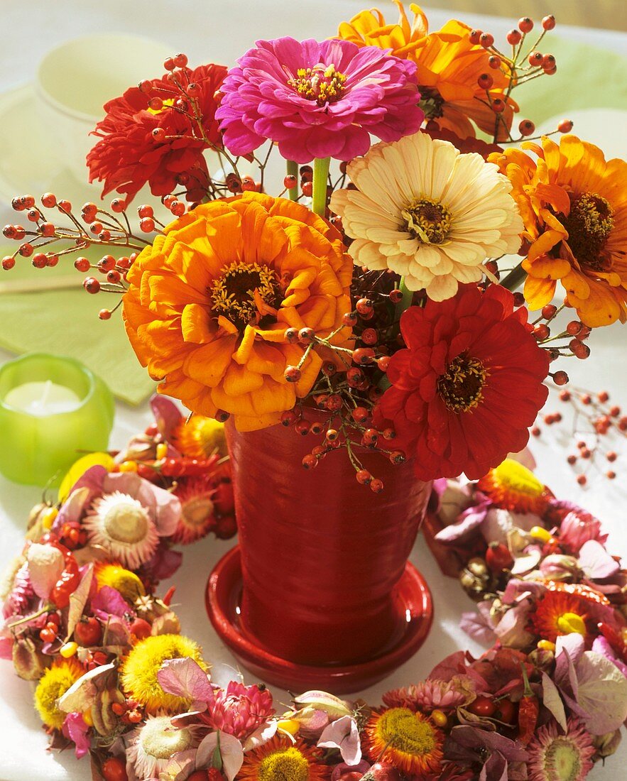 Zinnias with rose hips & wreath of straw flowers & hydrangeas