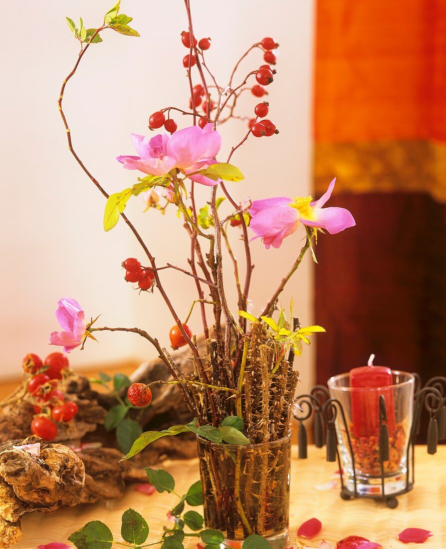 Roses, rose hips and rose twigs in glass