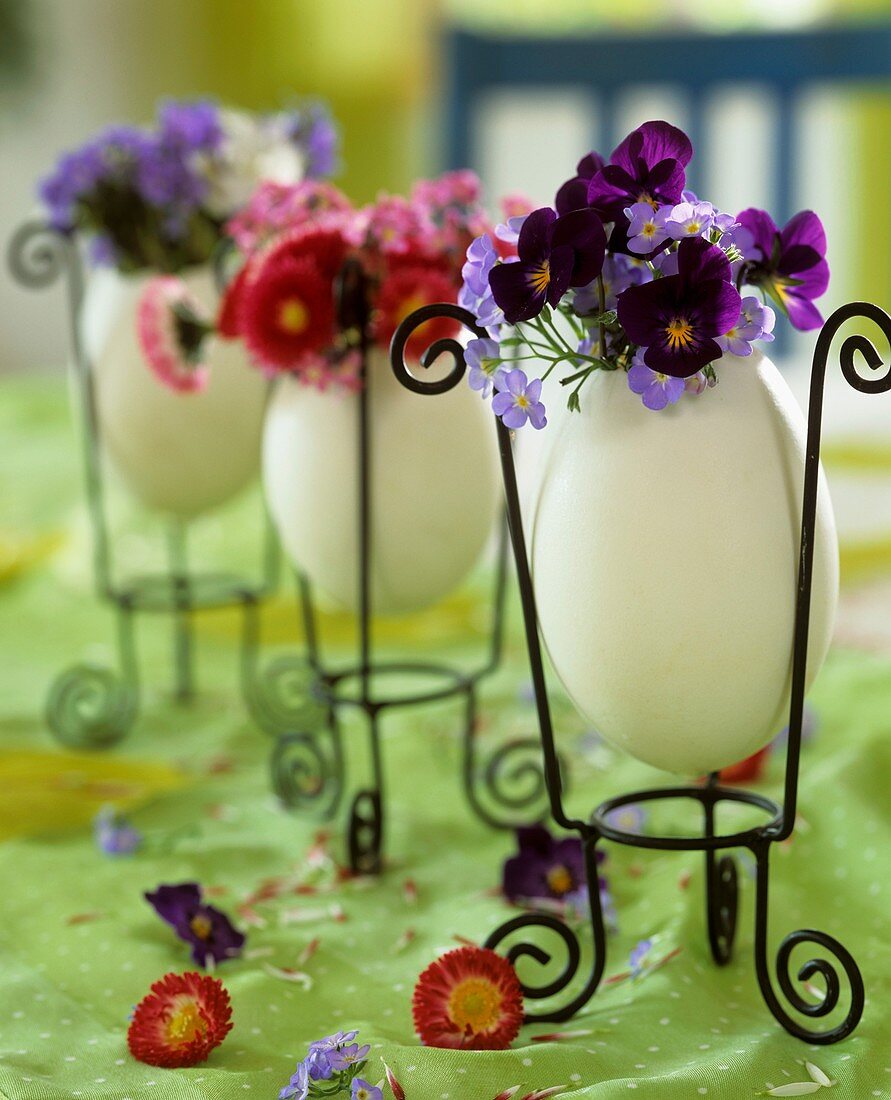 Goose eggs with spring flowers