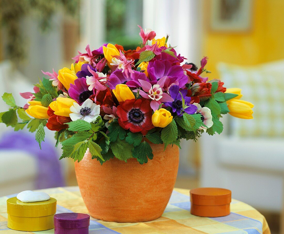 Arrangement of Anemone coronaria, aquilegias & tulips