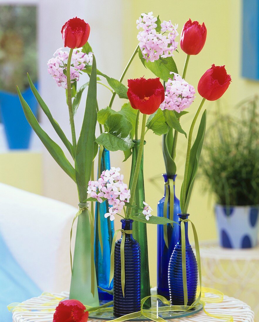 Tulips and dame's violet in various bottles