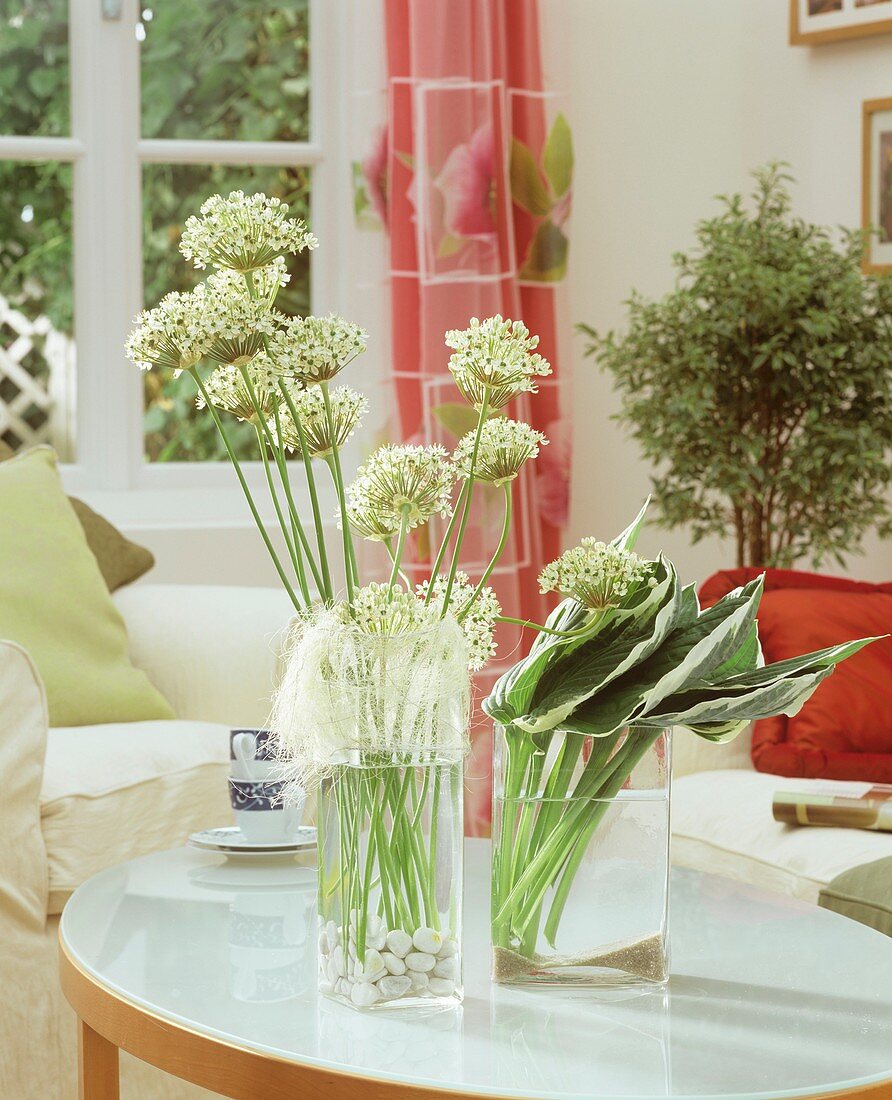 Ornamental onions as table decoration