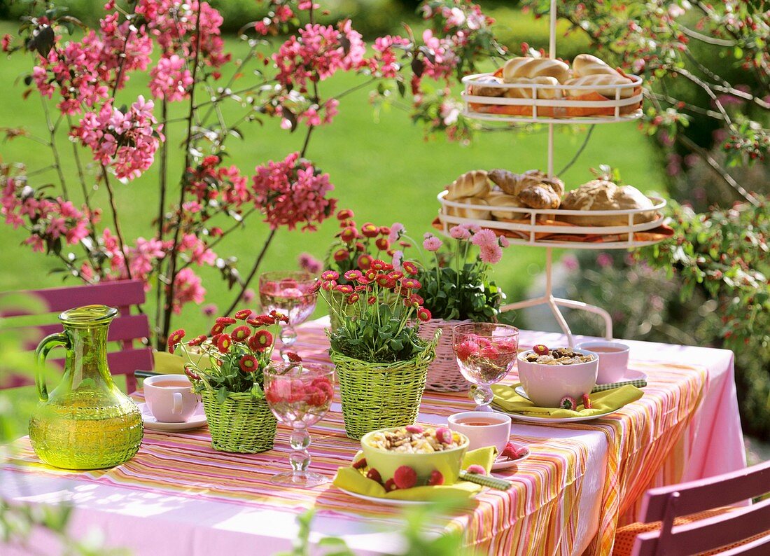 Breakfast table in garden