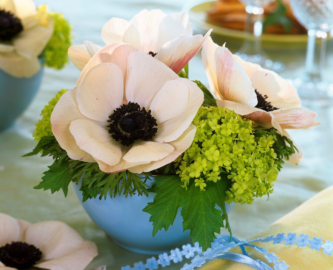 Anemone coronaria with Viburnum in pale-blue bowl