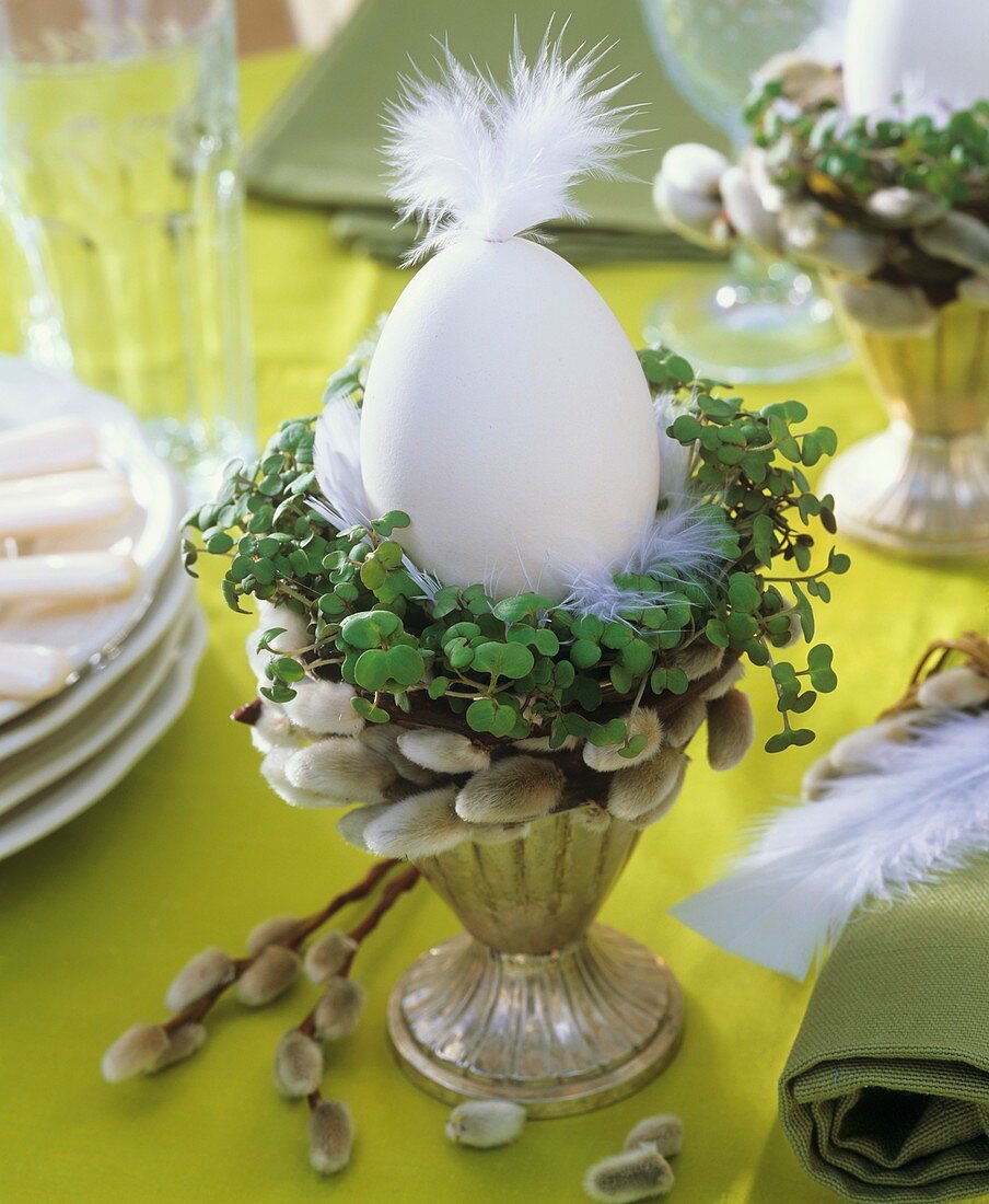 Eggcup with egg and feather, cress and pussy willow