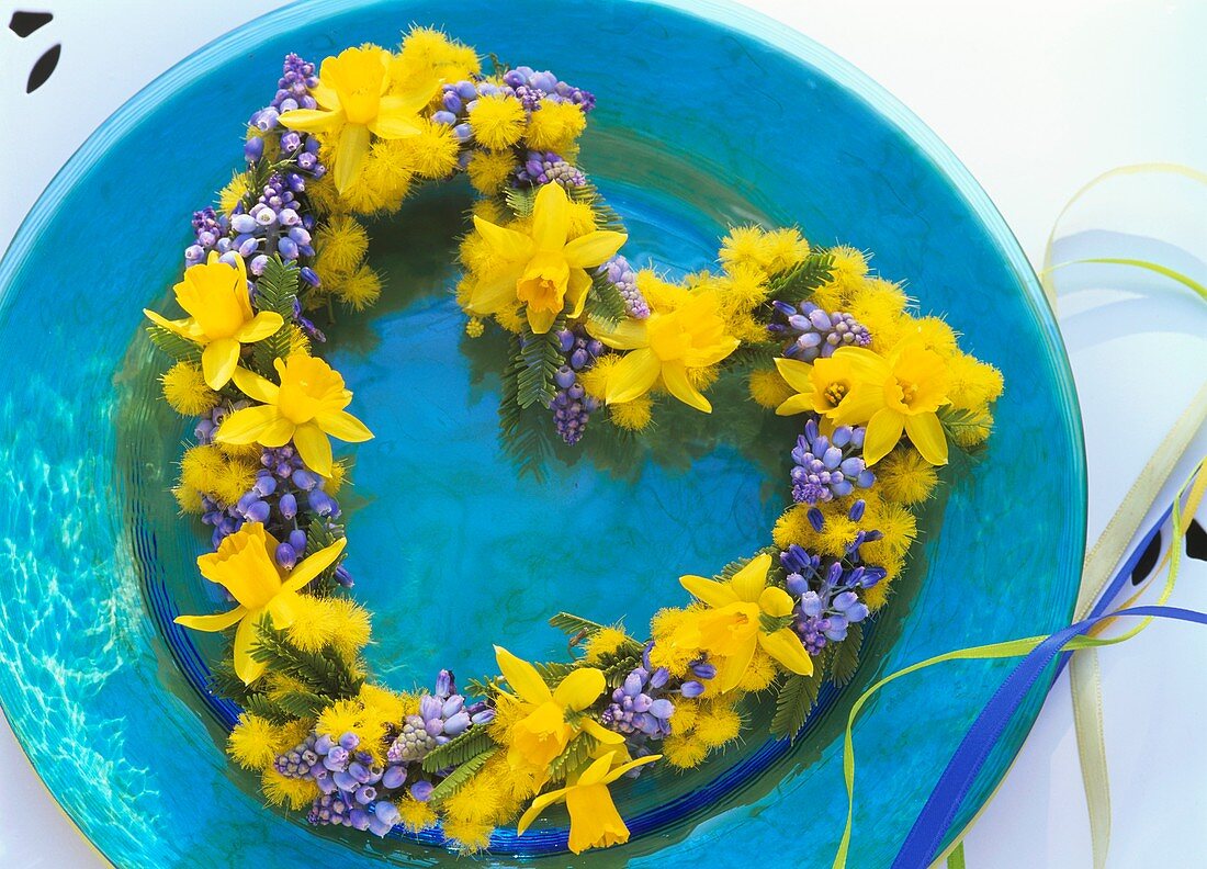 Heart of Narcissi, grape hyacinths and Mimosa