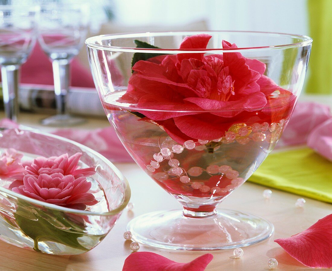 Camellia and string of beads in glass bowl 