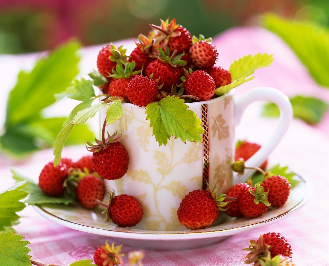 Strawberries in a cup