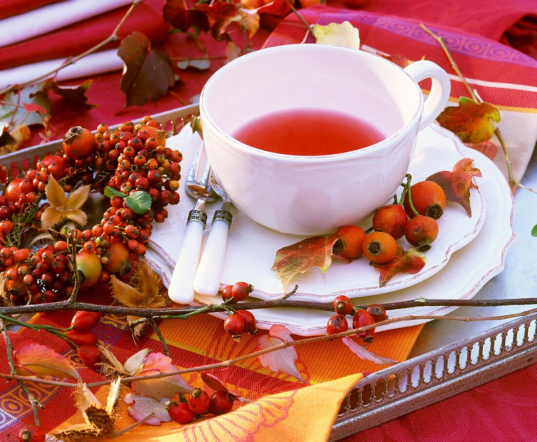 Cup of rose hip tea and rose hips