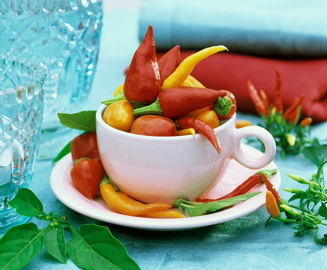 Various types of chillies in pink espresso cup