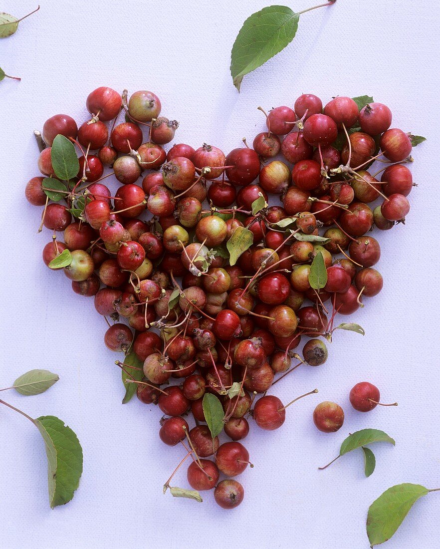 Ornamental apples forming a heart