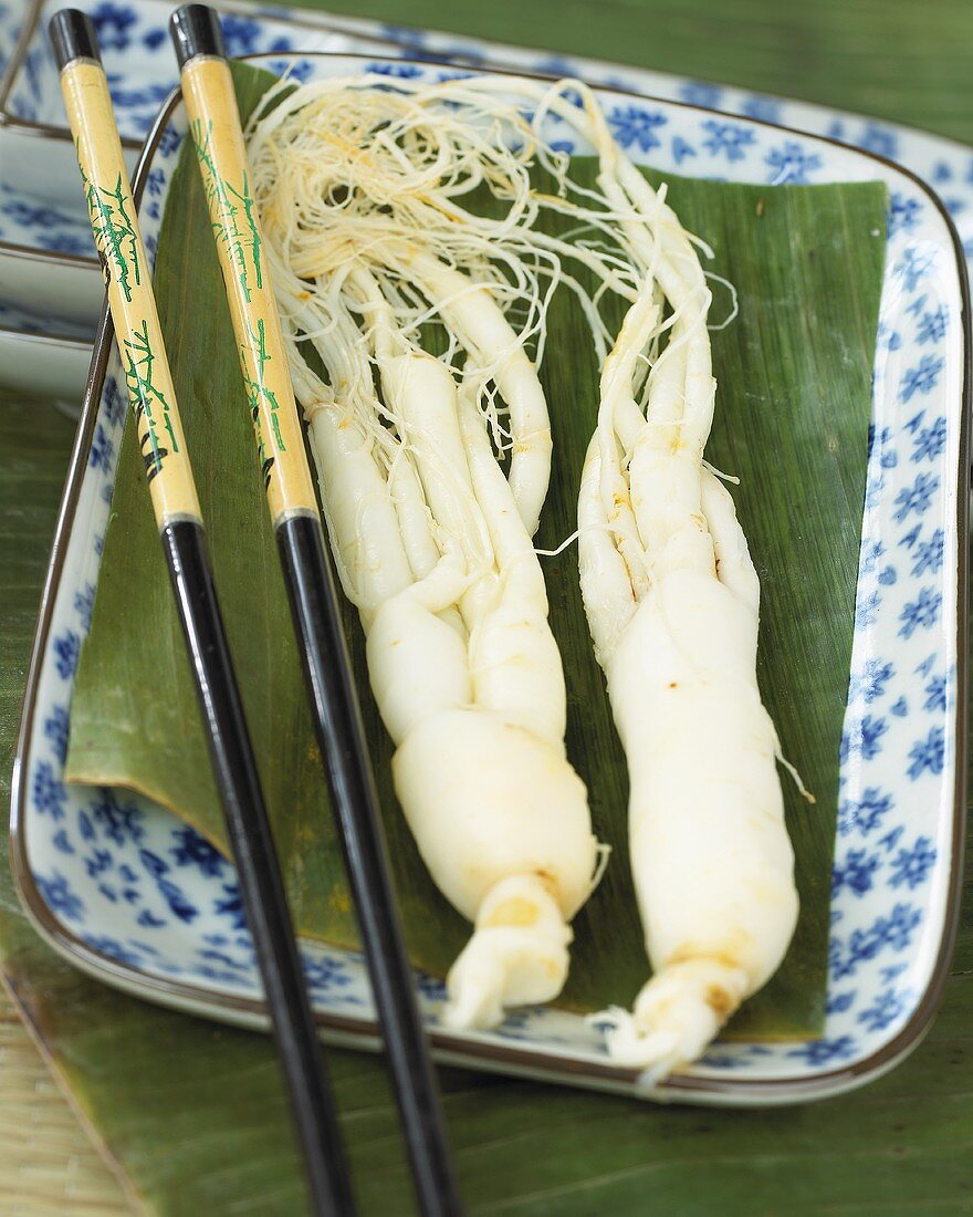 Fresh ginseng roots on leaf