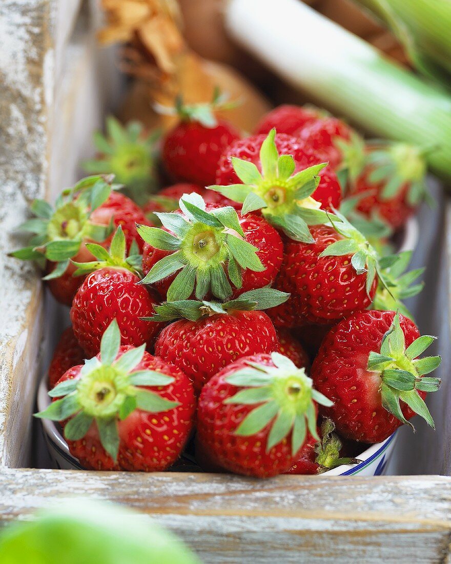 Strawberries, variety 'Lambada' in bowl