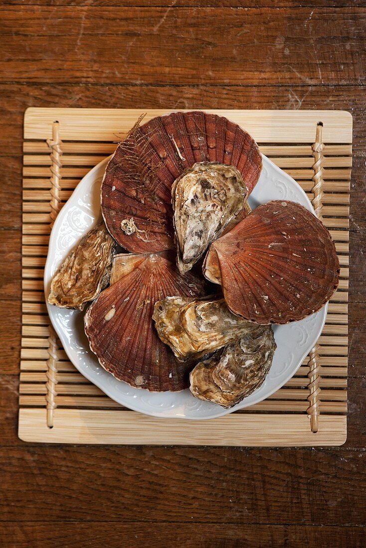 Muscheln und Austern auf einem Teller