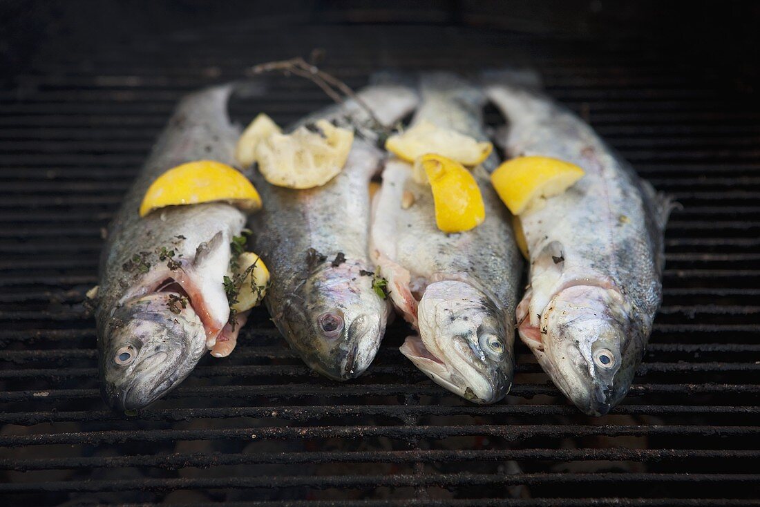 Four trout with herbs and lemon on a barbecue rack