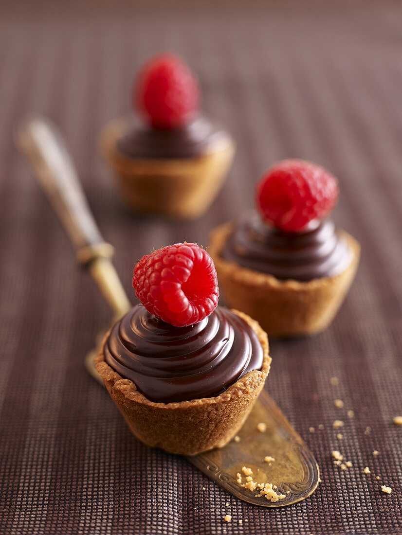 Chocolate ganache cupcakes with raspberries