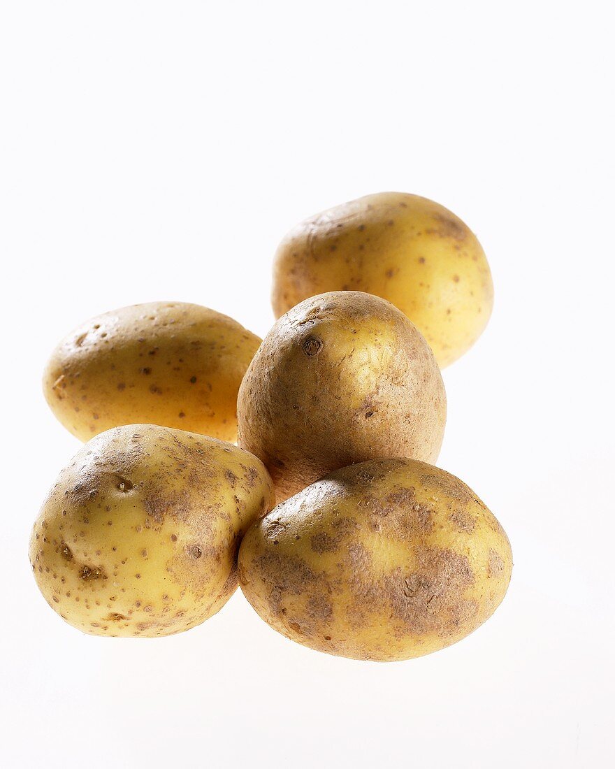 Fünf Kartoffeln der Sorte 'Milva'