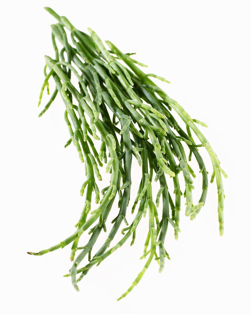 Samphire