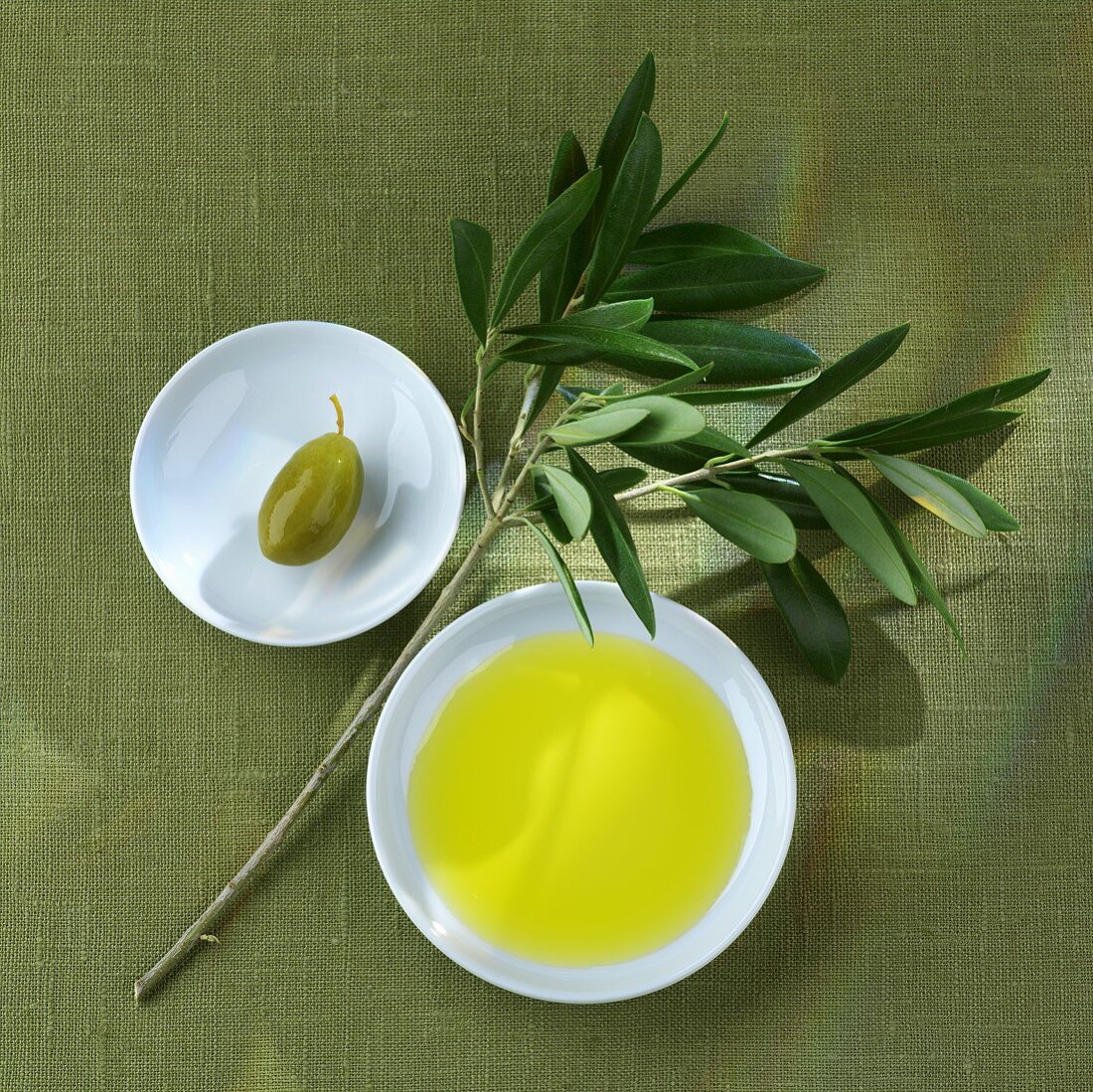 Green olive, olive branch and olive oil