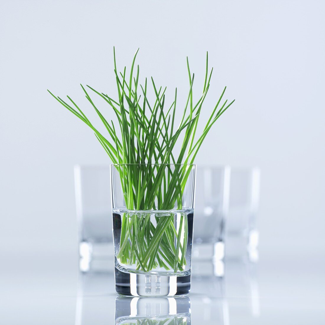 Chives in glass of water