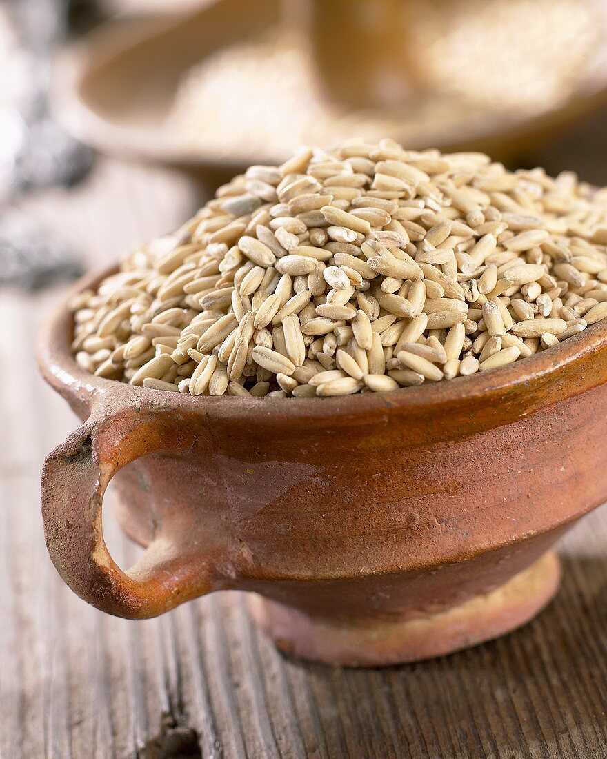 Oat grains in terracotta dish