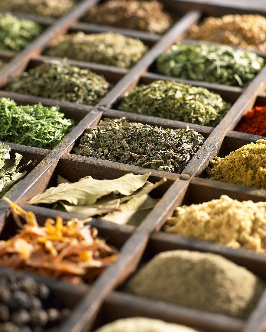 Various dried herbs and spices in type case