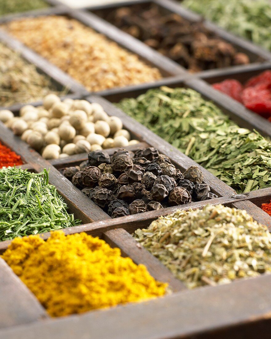 Various dried herbs and spices in type case