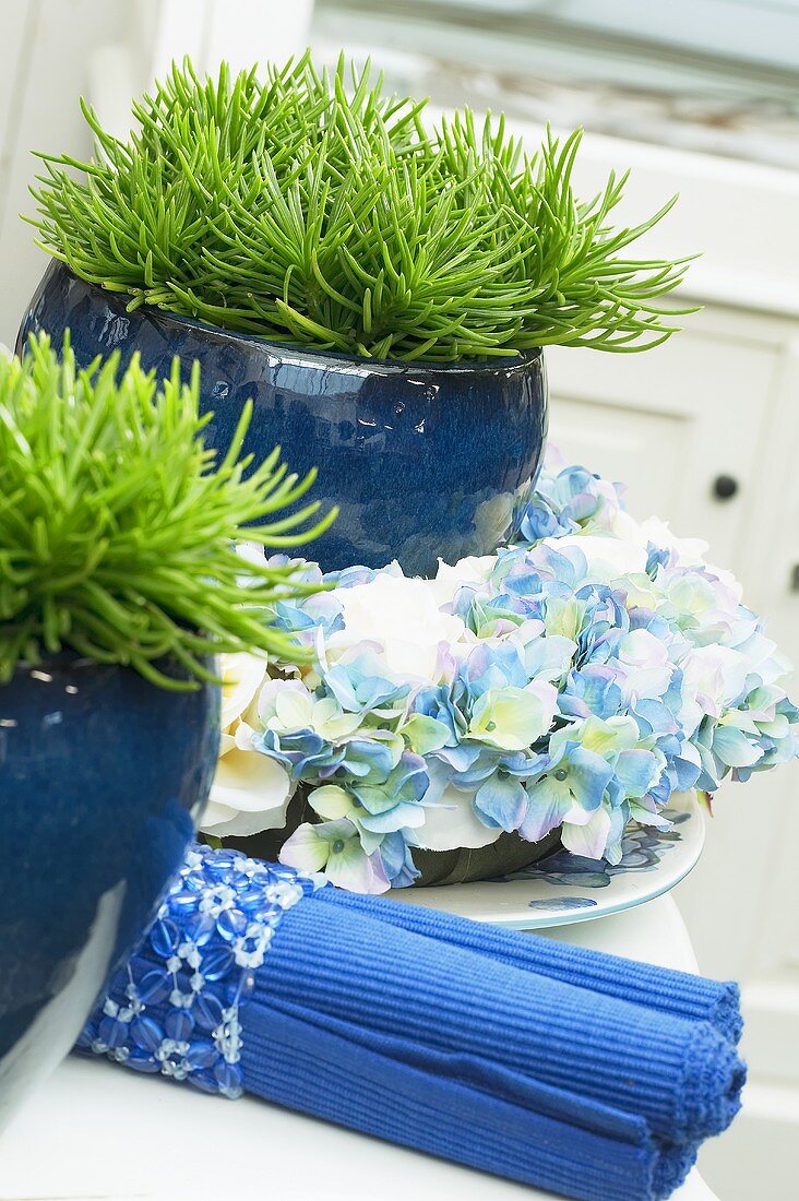 Senecio and hydrangea