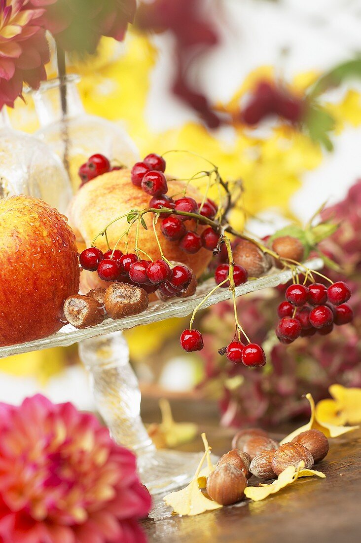 Herbstliches Stillleben mit Äpfeln, Hagebutten und Nüssen