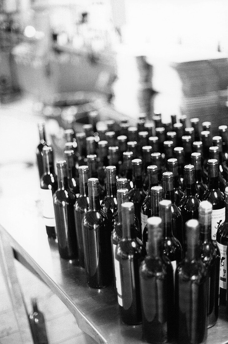 Wine bottles (black and white photo)