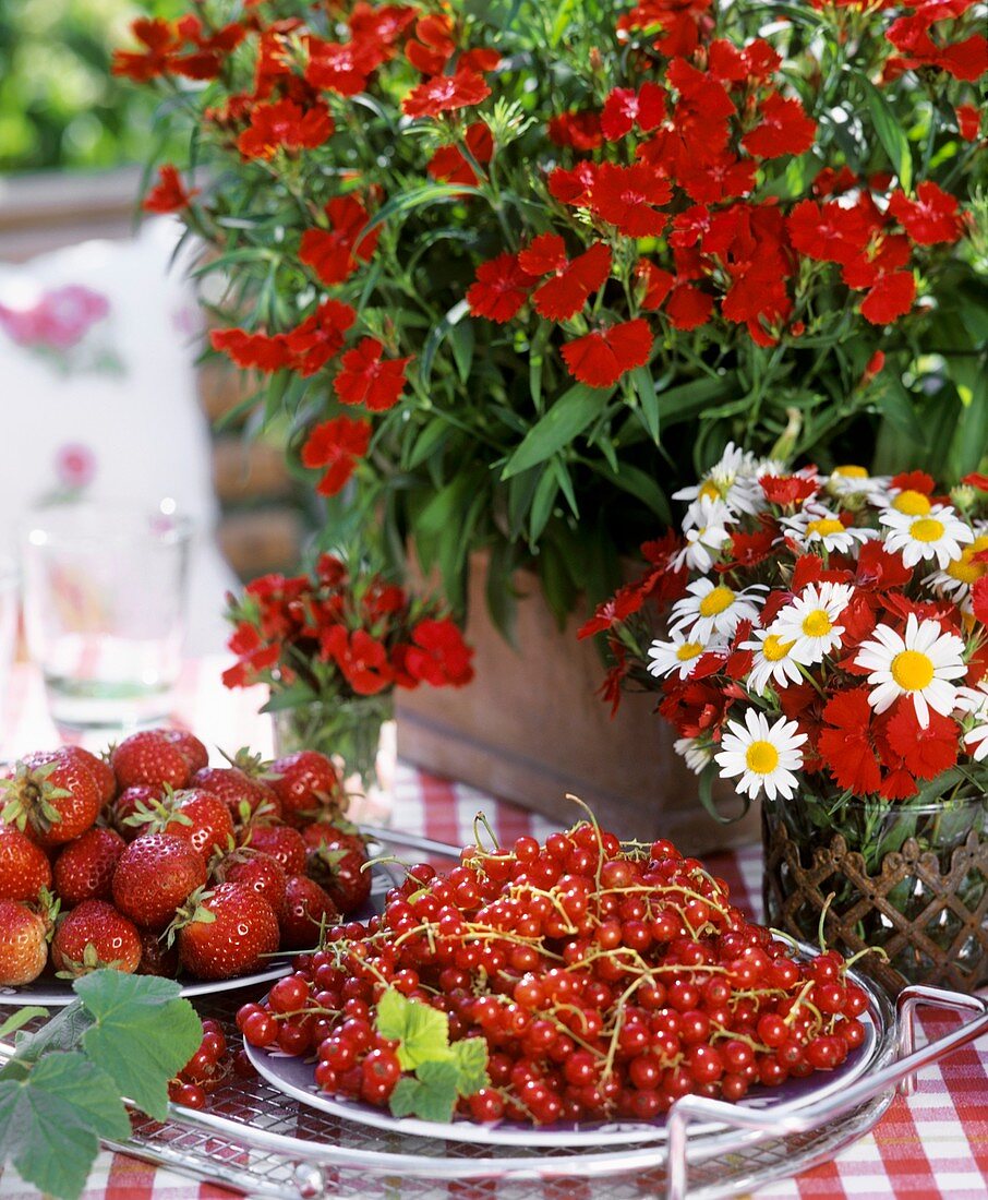 Johannisbeeren und Erdbeeren, Nelken und Margeriten