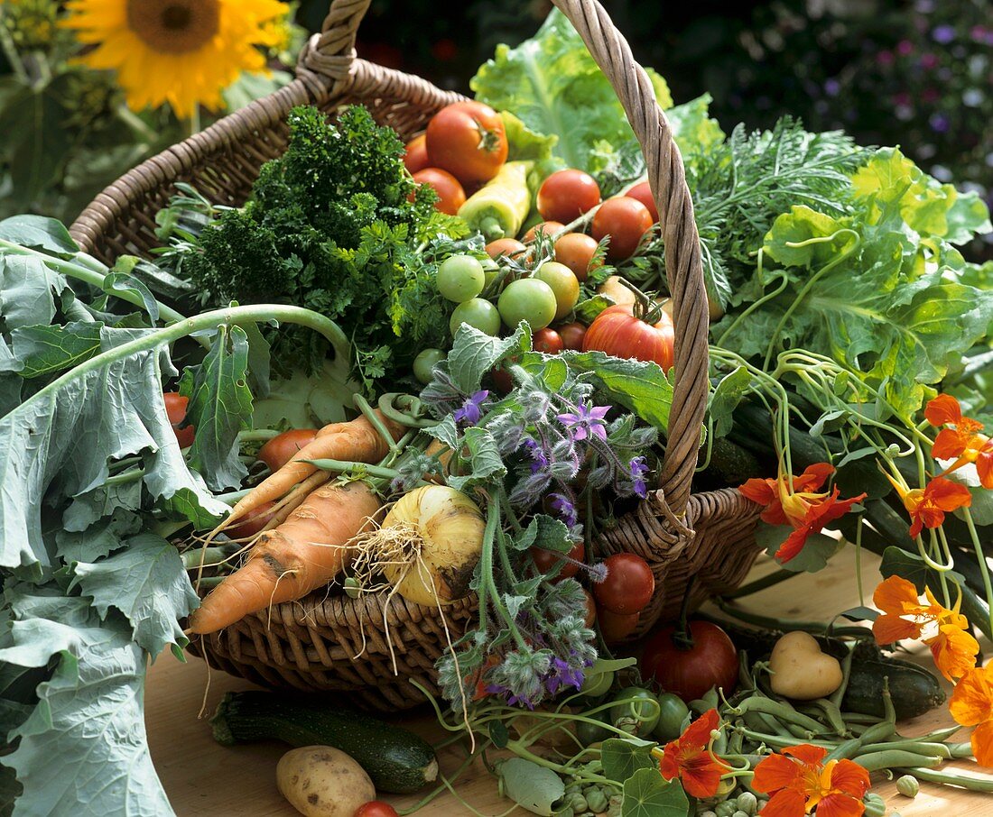 Basket of fresh vegetables and herbs