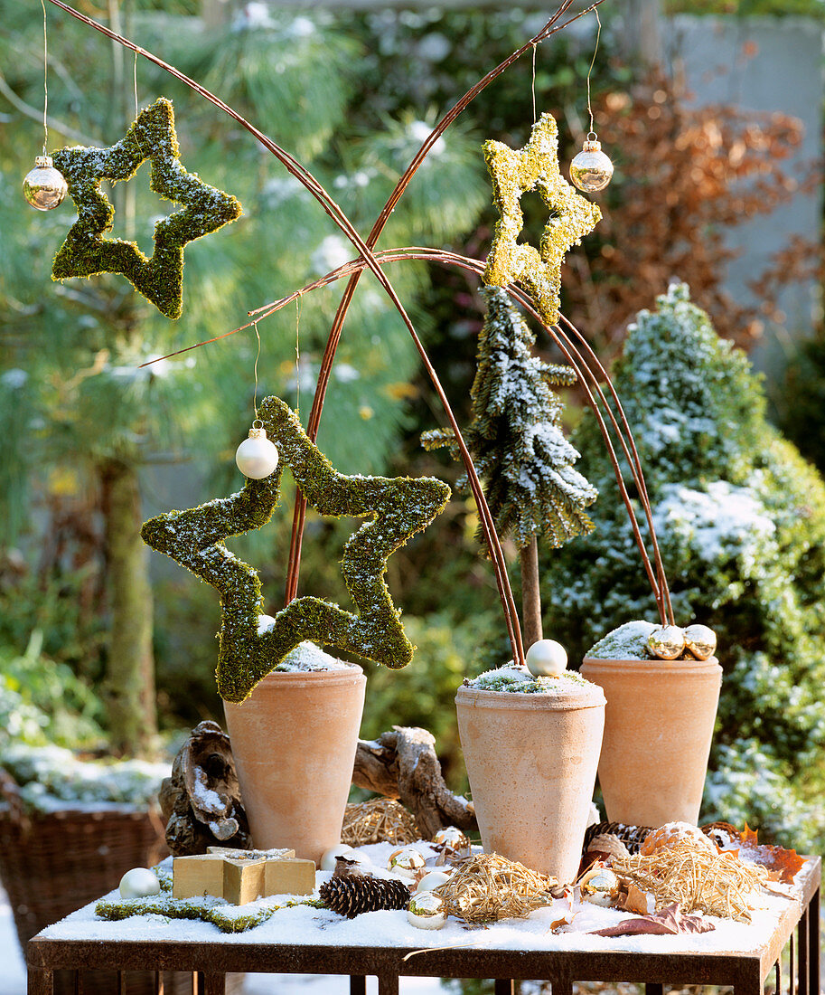 Weihnachtliches Gesteck: Tontöpfe mit Moossternen