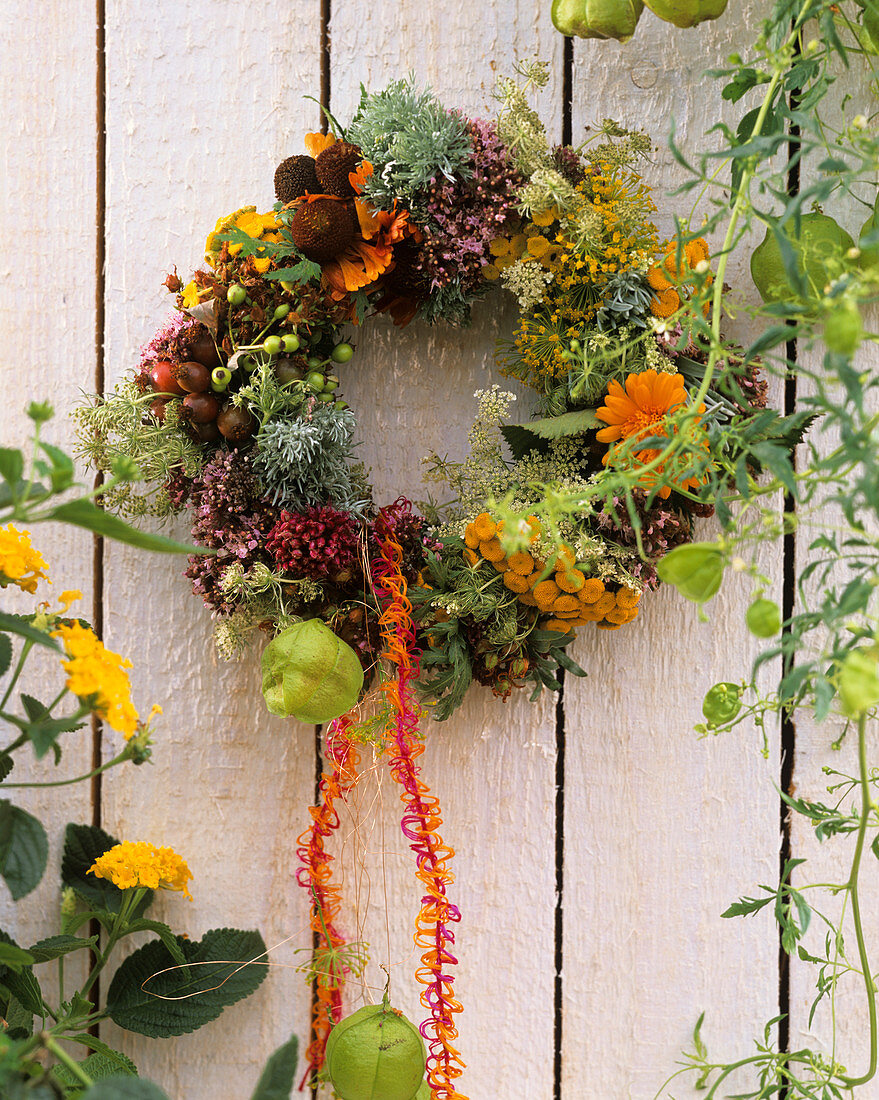 Herb wreath with elecampane, chervil, marigold, marjoram, dill