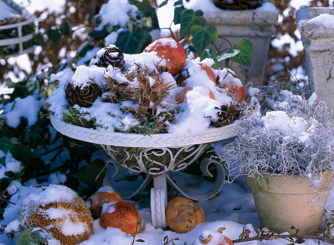 Wire basket with decorations in snow