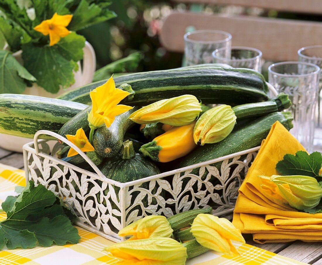 Zucchini auf einem Tisch im Garten