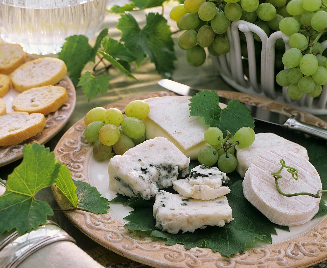 Mixed cheese board with grapes