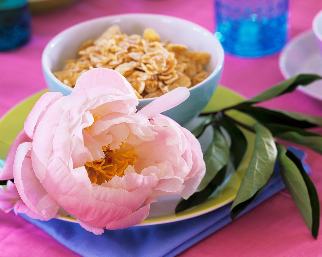 A bowl of cornflakes decorated with a peony