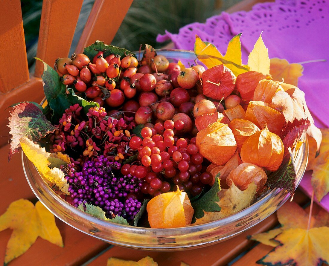 Glasschale mit Lampionblumen, Schneeballfrucht und Hagebutten