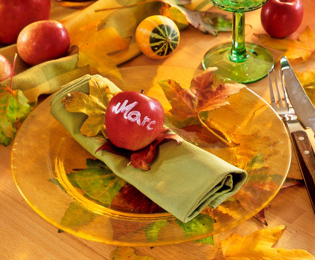 Autumnal place setting with apple