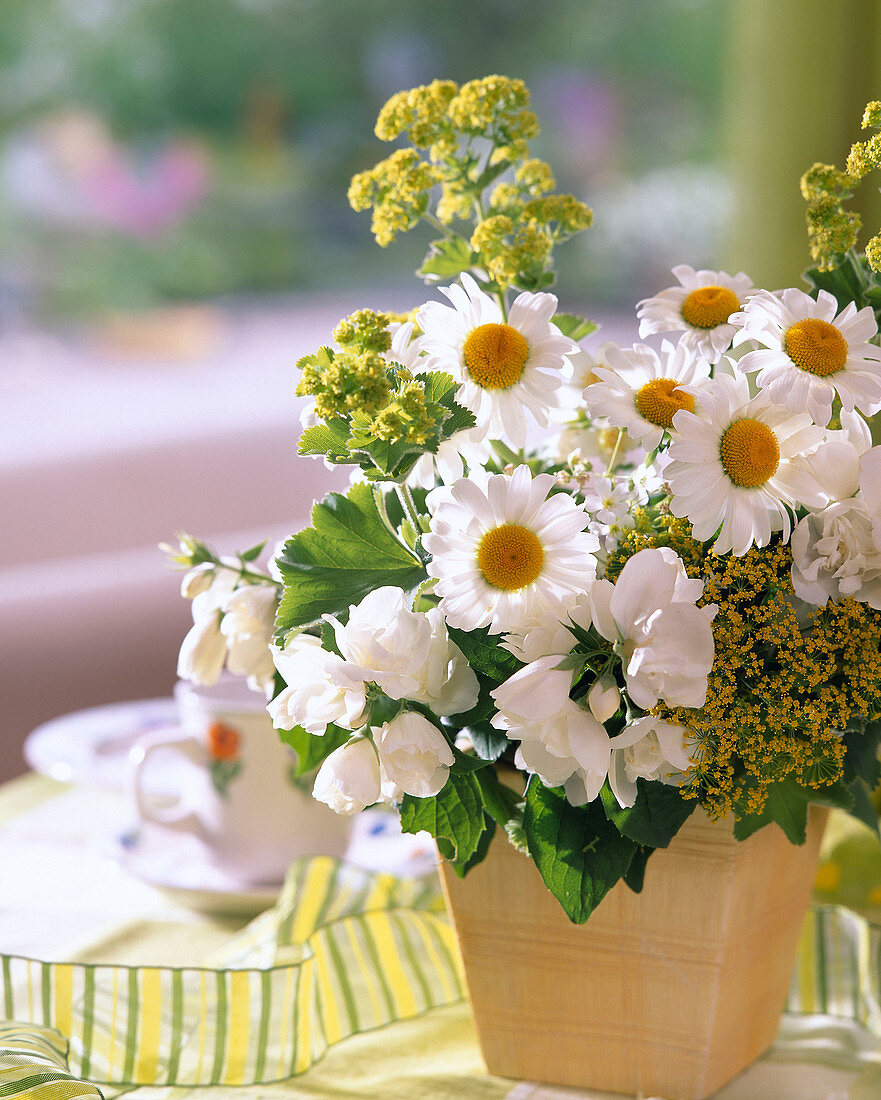 Summer posy of marguerites and lady's mantle