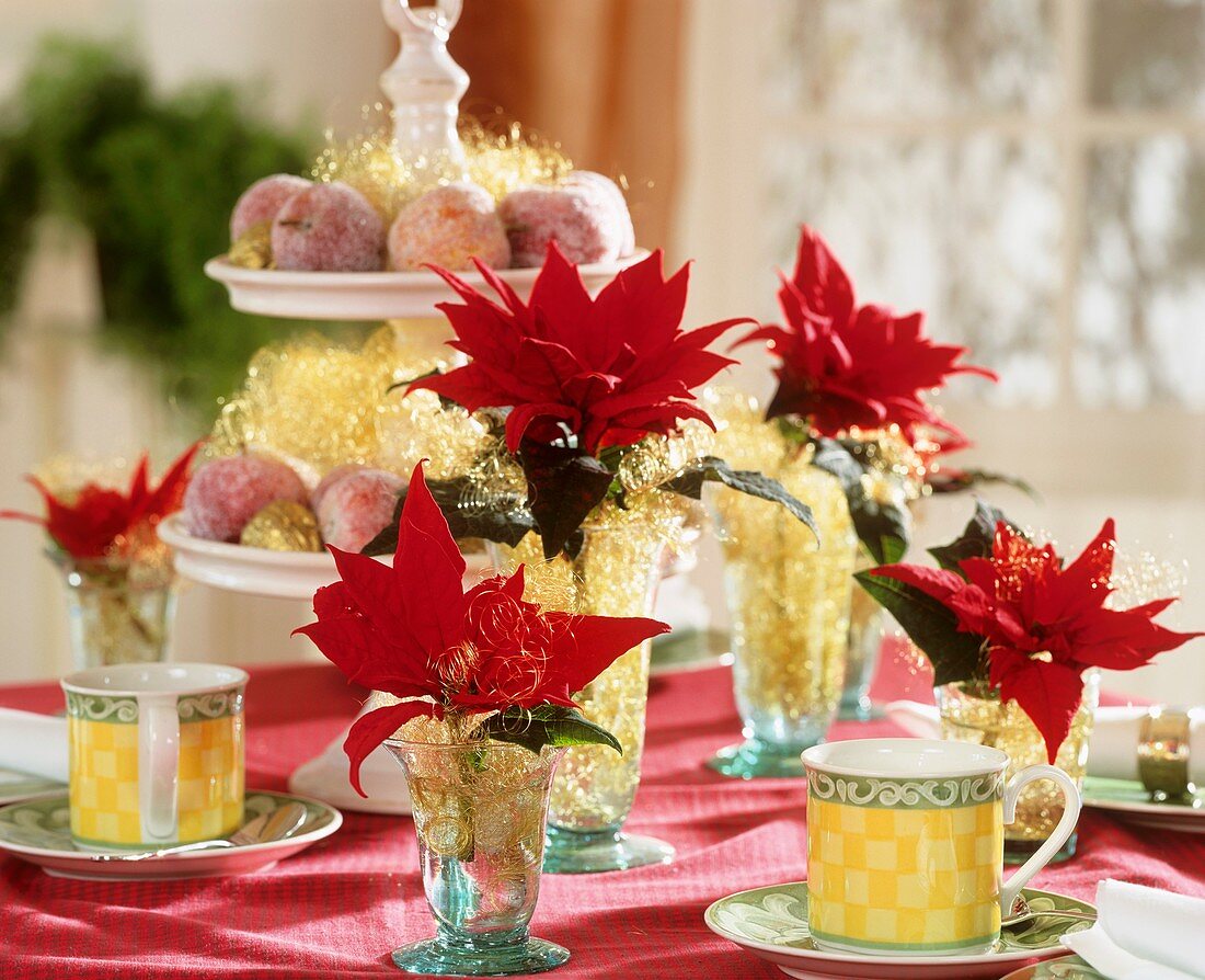 Table decoration with poinsettias and sugared apples