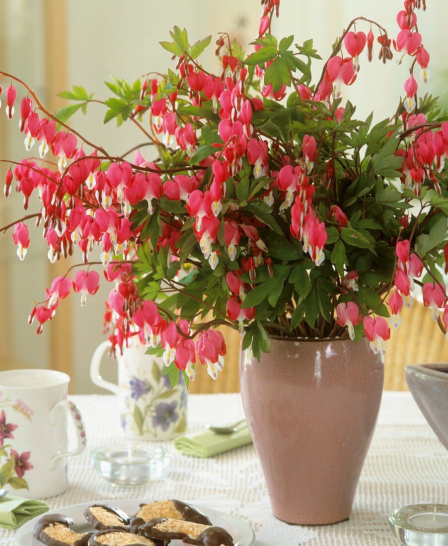 Bleeding heart in vase