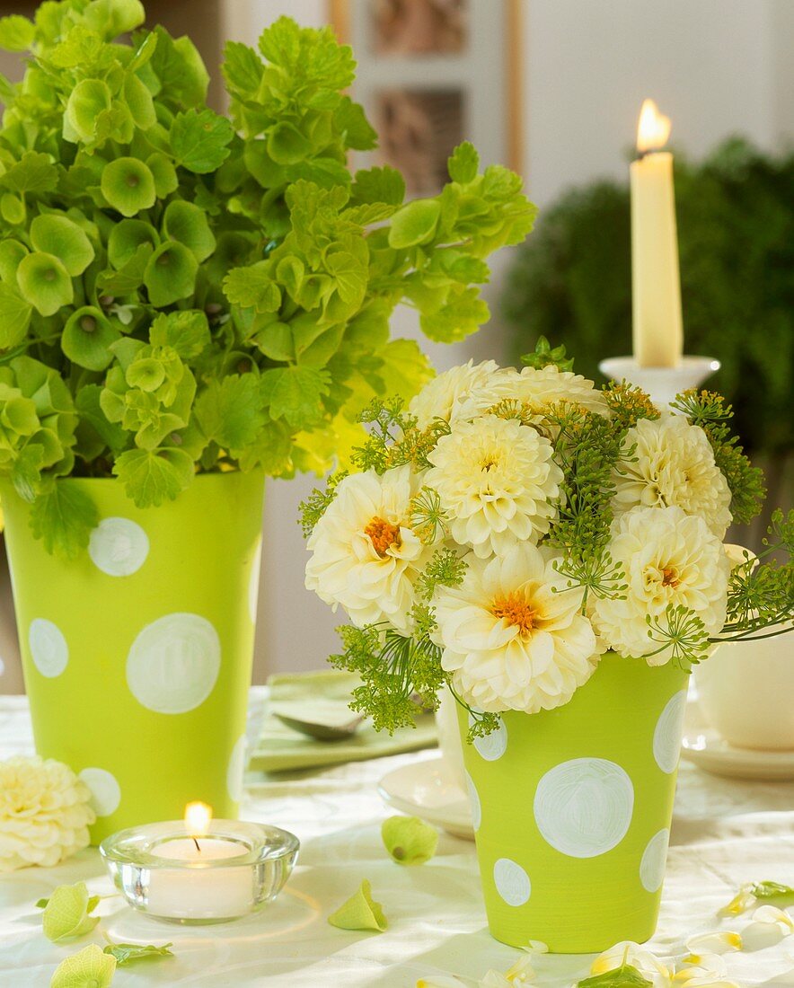 Two vases of Bells of Ireland and dahlias