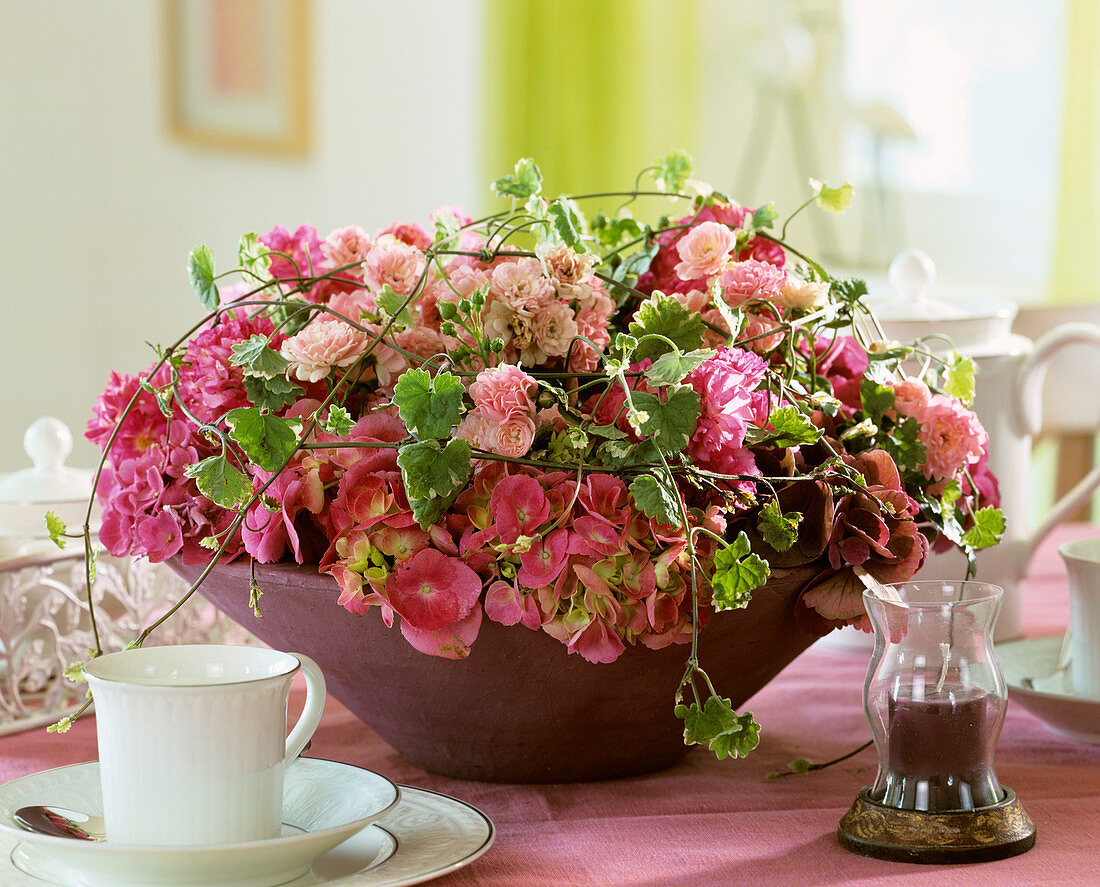 Schale mit Rose 'The Fairy', Hortensie und Gundermann