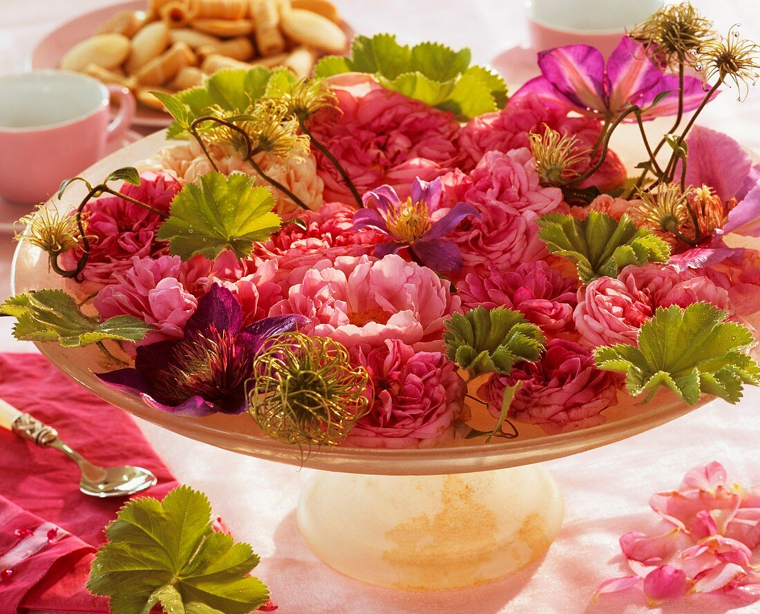 Bowl of English roses, lady's mantle and Clematis